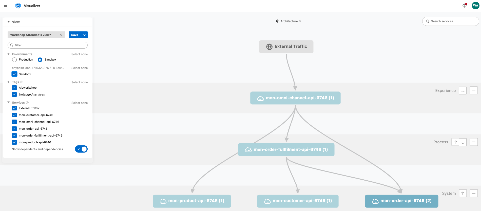 module6 lab1 visualizer topic description